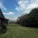 Wyford Farm - 284833