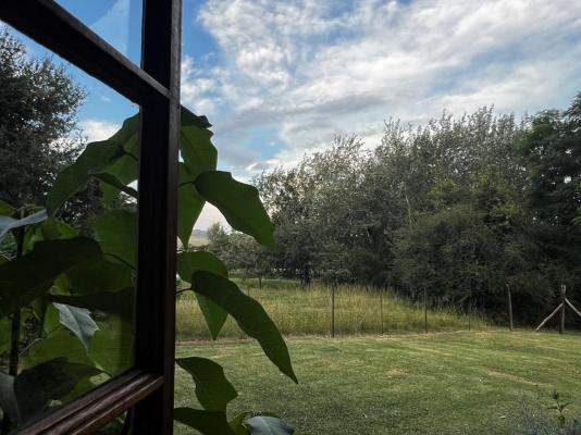 Wyford Farm - 284834