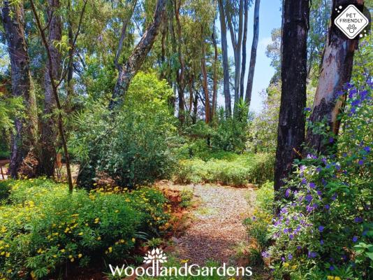Woodland Gardens - 284932