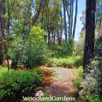 Woodland Gardens - 284932