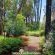 Woodland Gardens - 284932