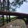 Woodland Gardens - 284933