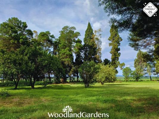Woodland Gardens - 284934