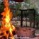 Woodland Gardens - 284935