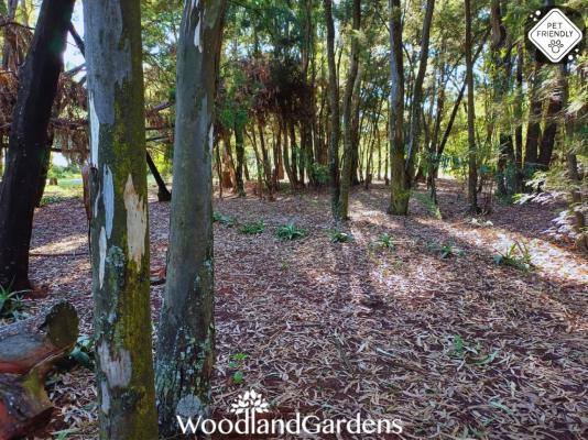 Woodland Gardens - 284936
