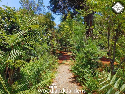 Woodland Gardens - 284938