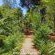 Woodland Gardens - 284938