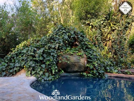 Woodland Gardens - 284939