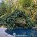 Woodland Gardens - 284939