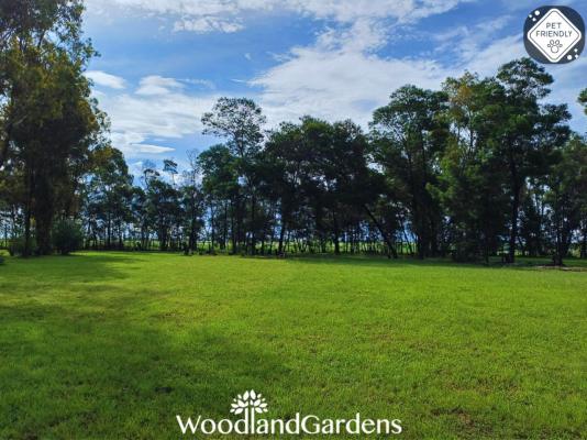 Woodland Gardens - 284941