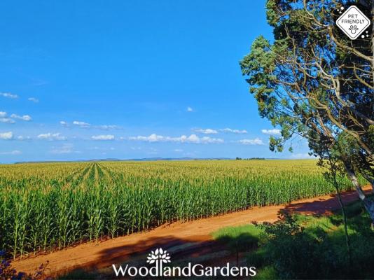 Woodland Gardens - 284942