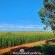 Woodland Gardens - 284942
