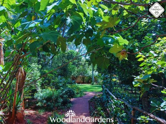 Woodland Gardens - 284943