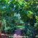 Woodland Gardens - 284943