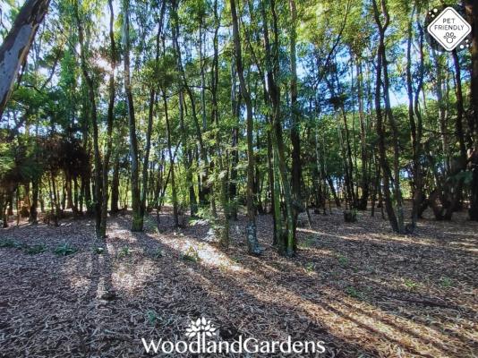 Woodland Gardens - 284944