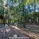 Woodland Gardens - 284944