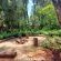 Woodland Gardens - 284945