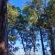 Woodland Gardens - 284946