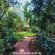 Woodland Gardens - 284947
