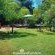Woodland Gardens - 284949