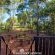 Woodland Gardens - 284950