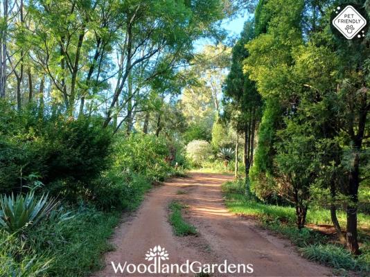 Woodland Gardens - 284951