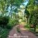 Woodland Gardens - 284951