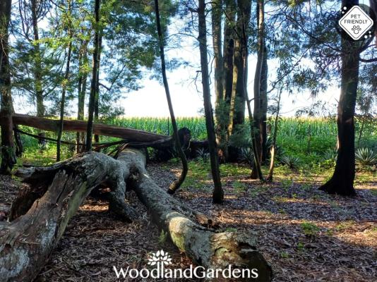 Woodland Gardens - 284952