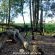 Woodland Gardens - 284952