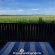 Woodland Gardens - 284954