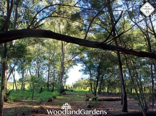 Woodland Gardens - 284955