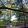Woodland Gardens - 284955