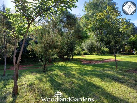 Woodland Gardens - 284956