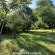 Woodland Gardens - 284956