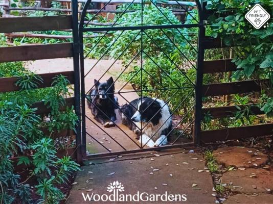Woodland Gardens - 284957