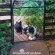 Woodland Gardens - 284957