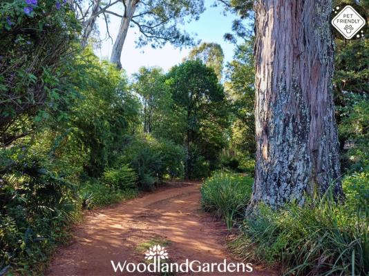 Woodland Gardens - 284958