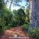 Woodland Gardens - 284958