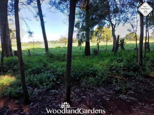 Woodland Gardens - 284959