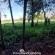 Woodland Gardens - 284959