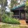 Woodland Gardens - 284960