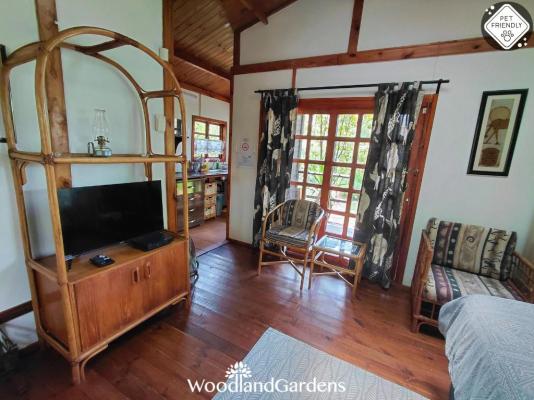 Room image 7