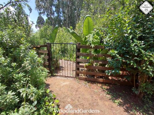 Woodland Gardens - 284970