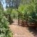 Woodland Gardens - 284970
