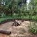 Woodland Gardens - 284973