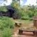 Woodland Gardens - 284974