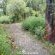 Woodland Gardens - 284975