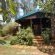 Woodland Gardens - 284976