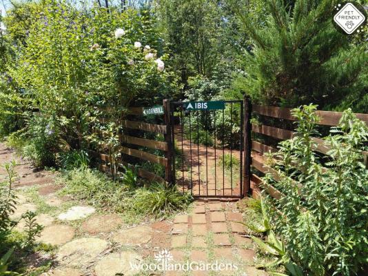 Woodland Gardens - 284986