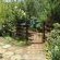 Woodland Gardens - 284986